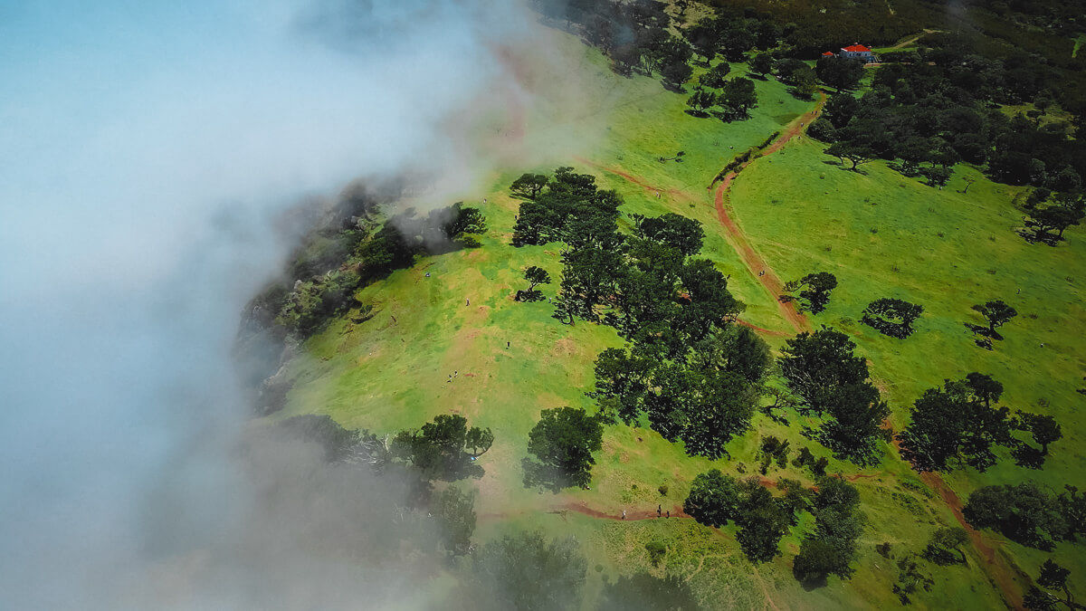 Drone shot of fanal forest with trees and clouds