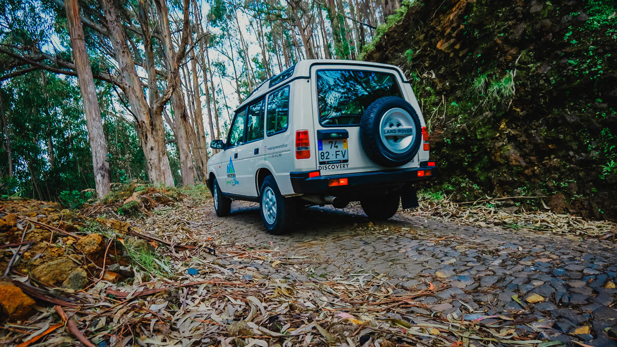 The madeira green & blue TOURS jeep driving threw the forest