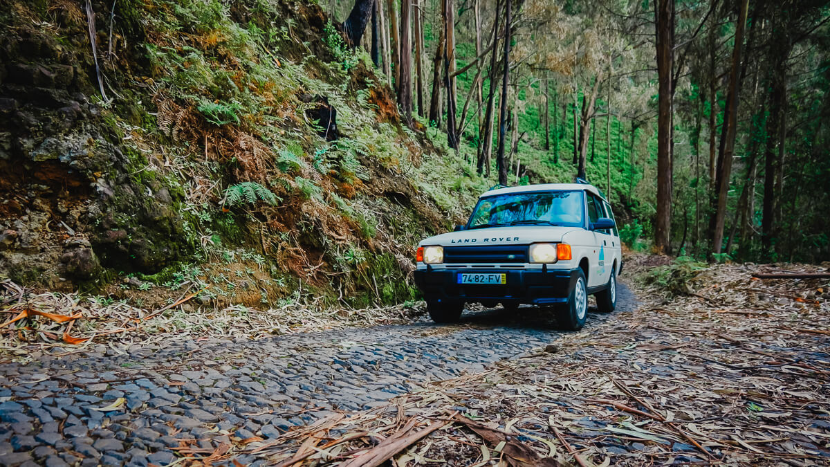 Front shot of a jeep driving threw a forest on madeira island