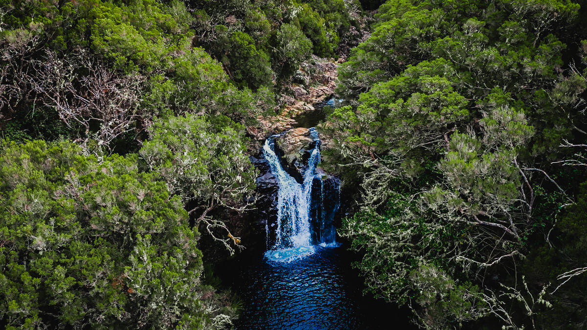 Waterfall surrounded by nature on a levada on madeira island